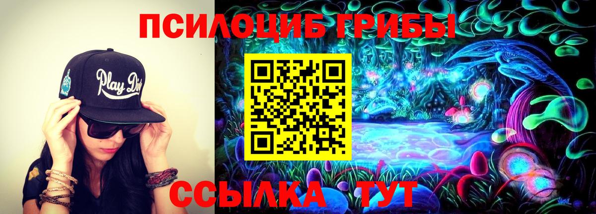 Киржач  Галлюциногенные грибы Psilocybe  сколько стоит  Вход с VPN 