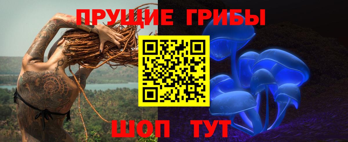 Псилоцибиновые грибы Psilocybe Киржач